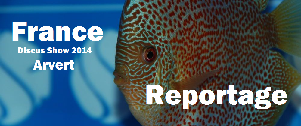 France Discus Show 2014, The report - Fanatik-Discus